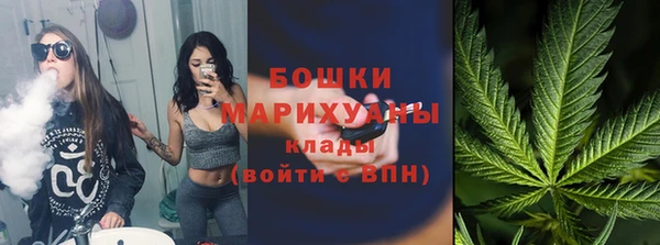 дмт Верея