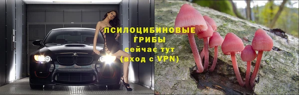 дмт Верея