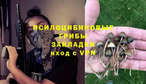меф VHQ Рославль