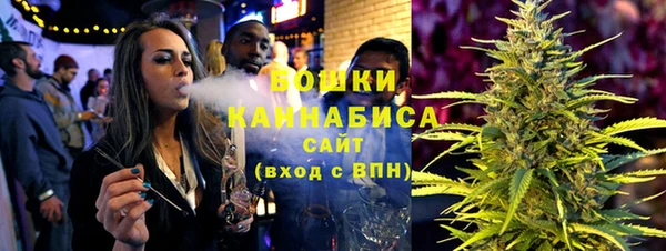 сатива Россошь