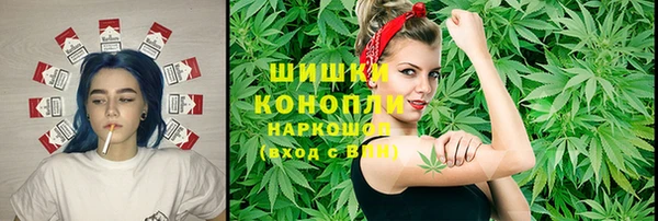 дмт Верея