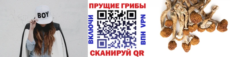 Галлюциногенные грибы мухоморы  Семёнов 